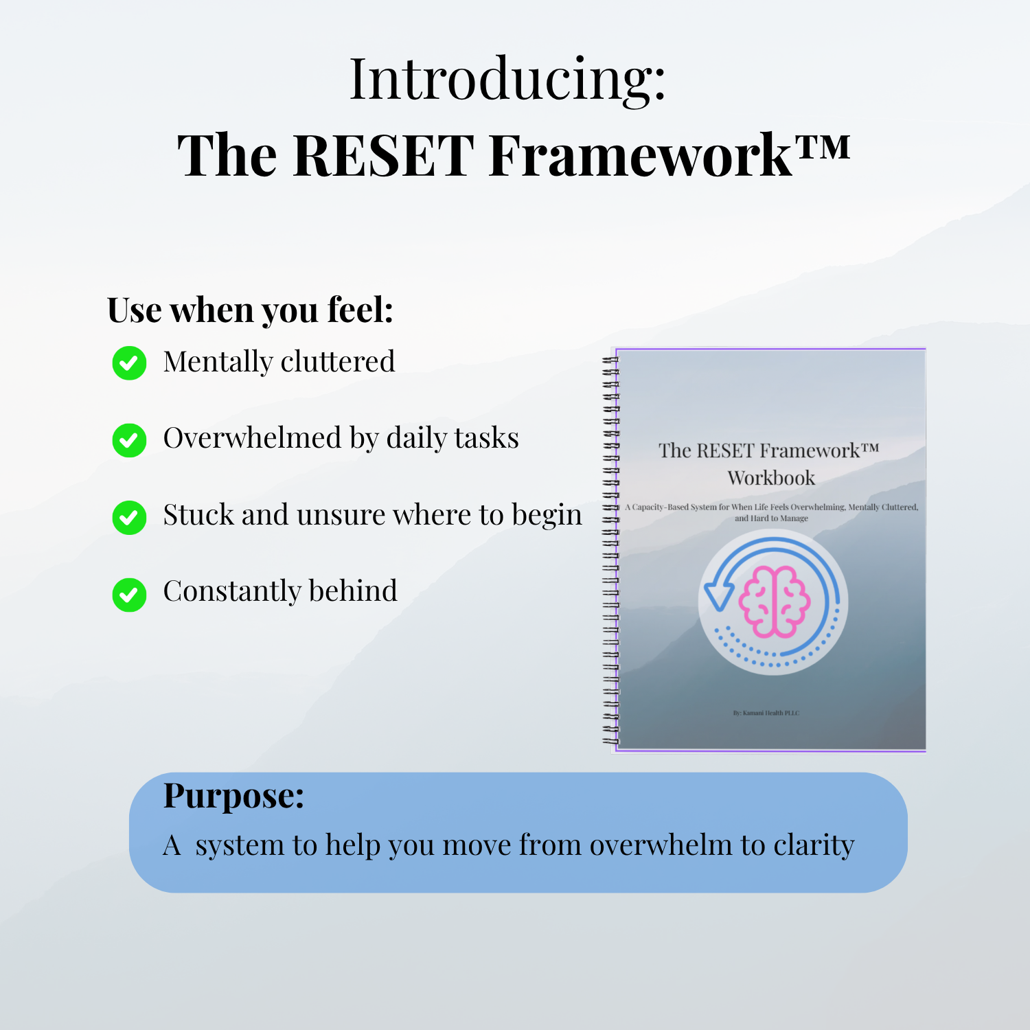The RESET Framework™ Workbook