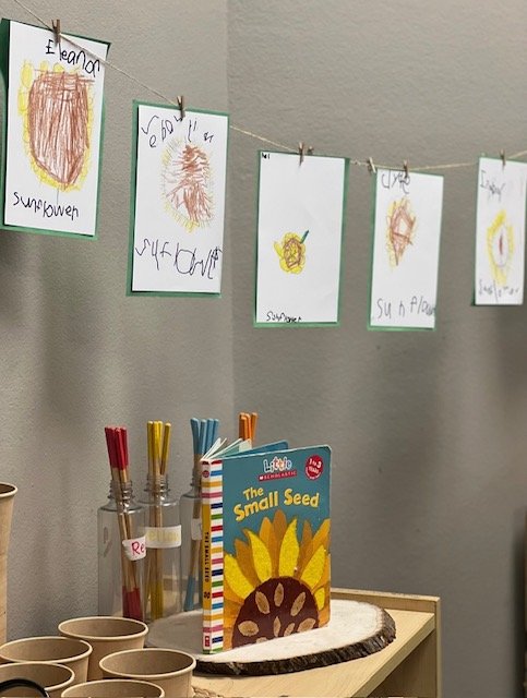 Children's drawings of seeds hang on a string with clothespins, along with a children's book titled "The Small Seed" and several colored pens in holders on a table.