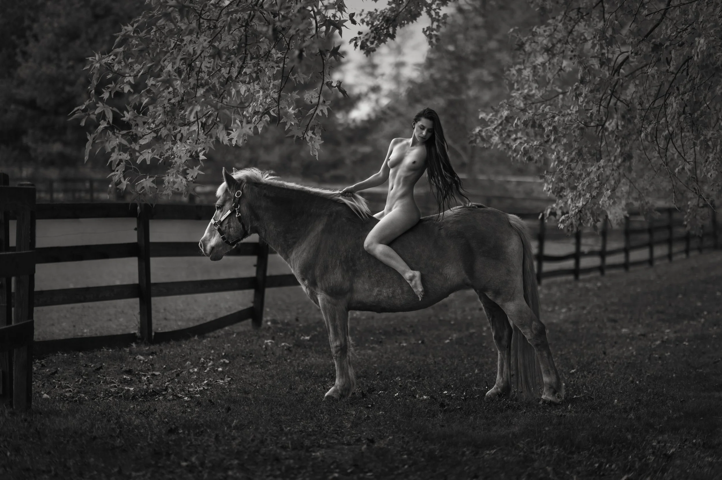 new-jersey-boudoir-photography 0025.JPG