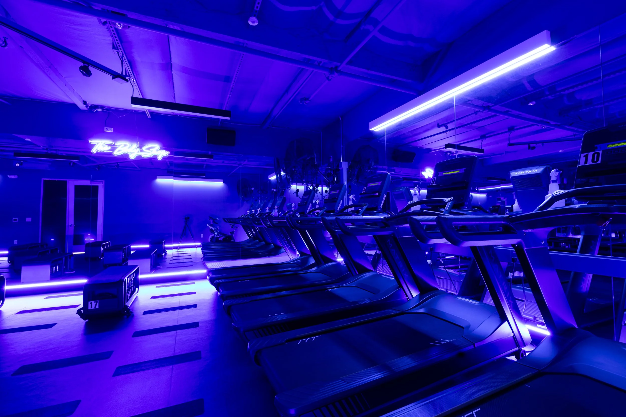 A dark gym room illuminated with blue and purple neon lights, featuring rows of treadmills and exercise equipment.