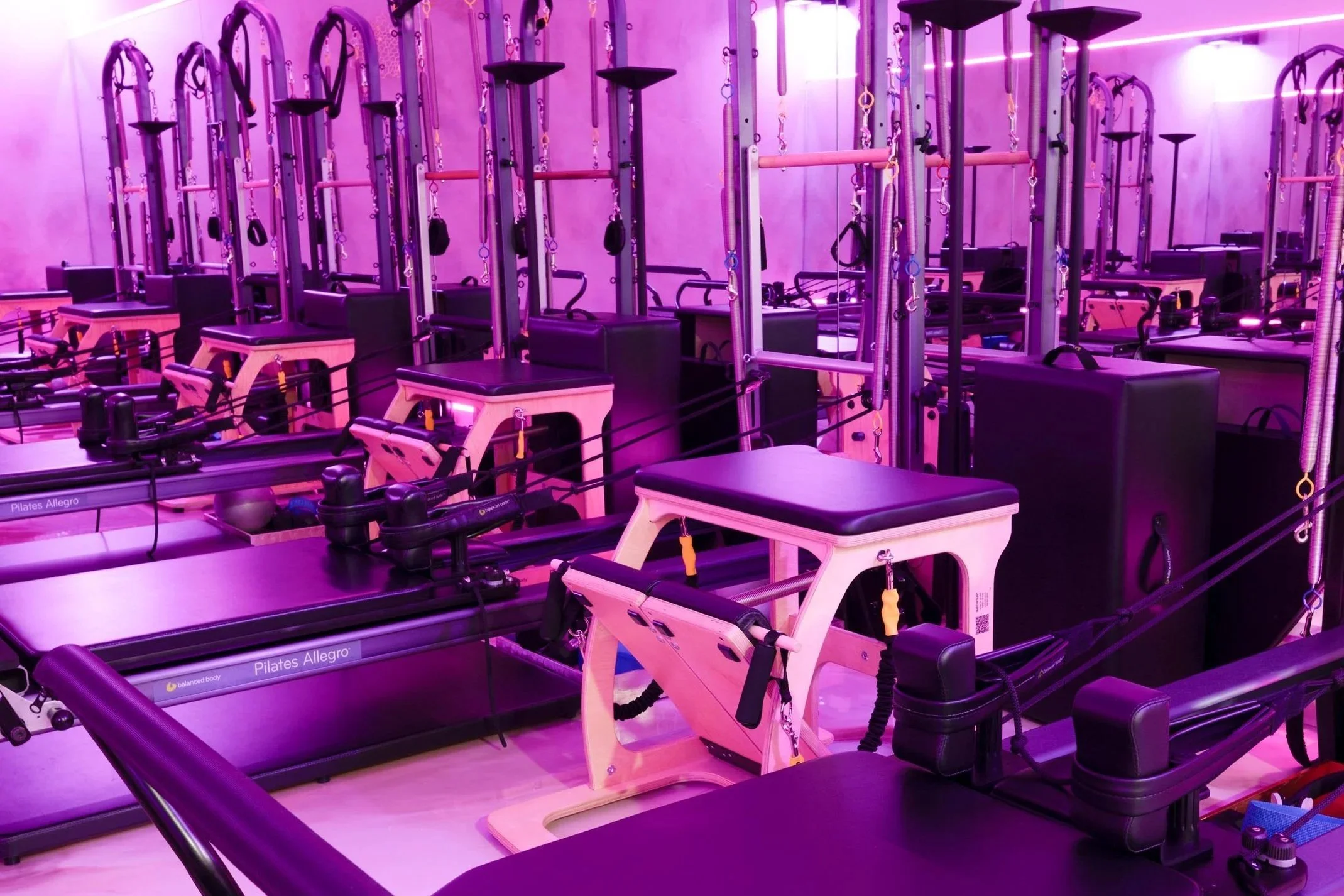 A Pilates studio with purple lighting, multiple Pilates reformer machines arranged in rows, and exercise rings and other equipment hanging from the ceiling.