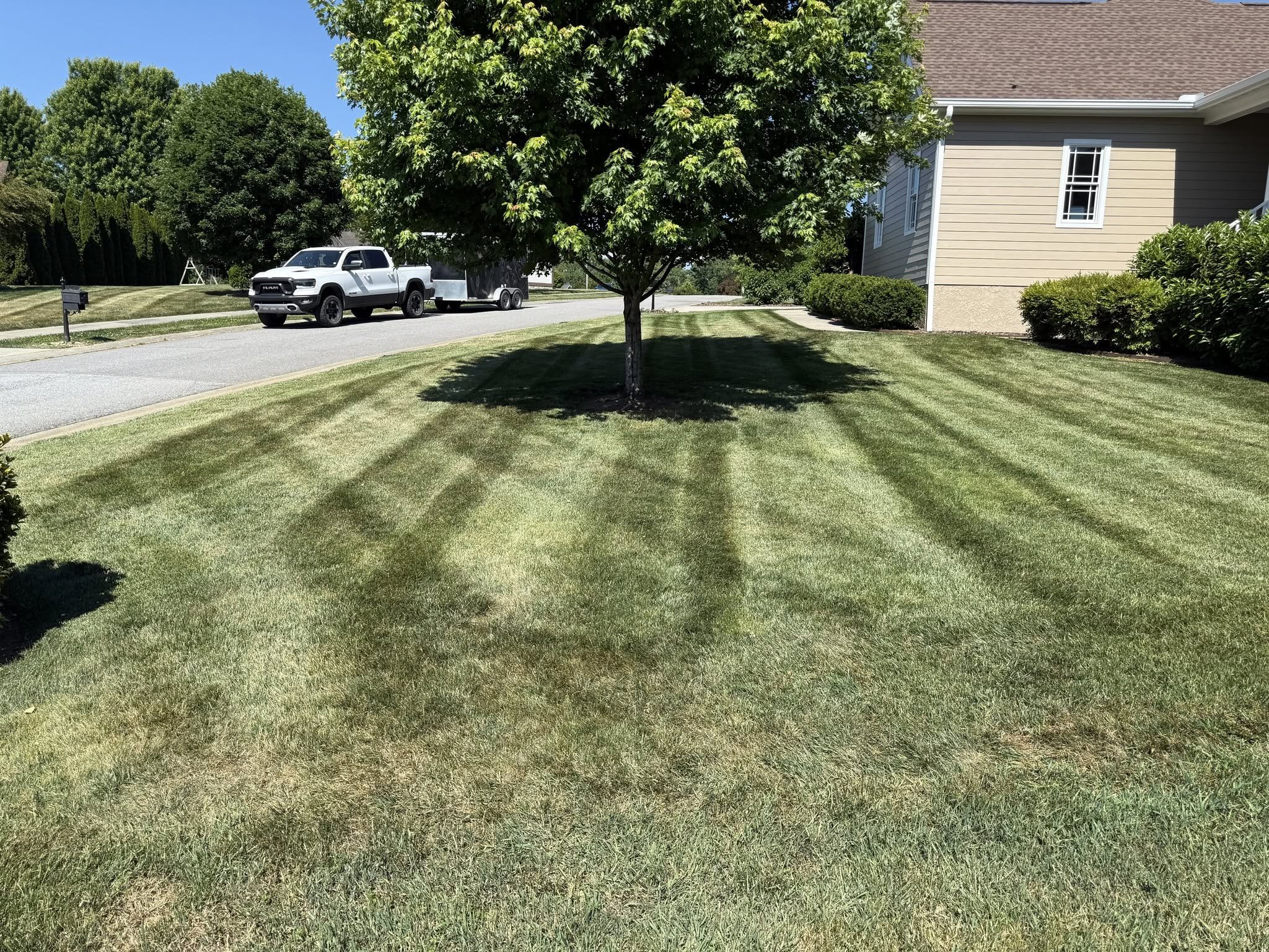 yard promo 2.jpg