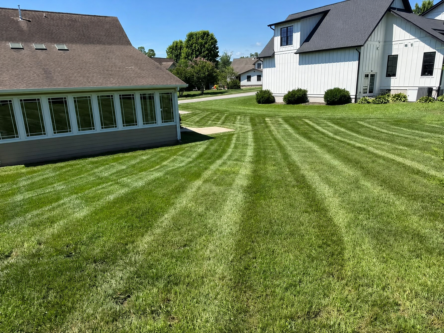 yard promo 1.jpg