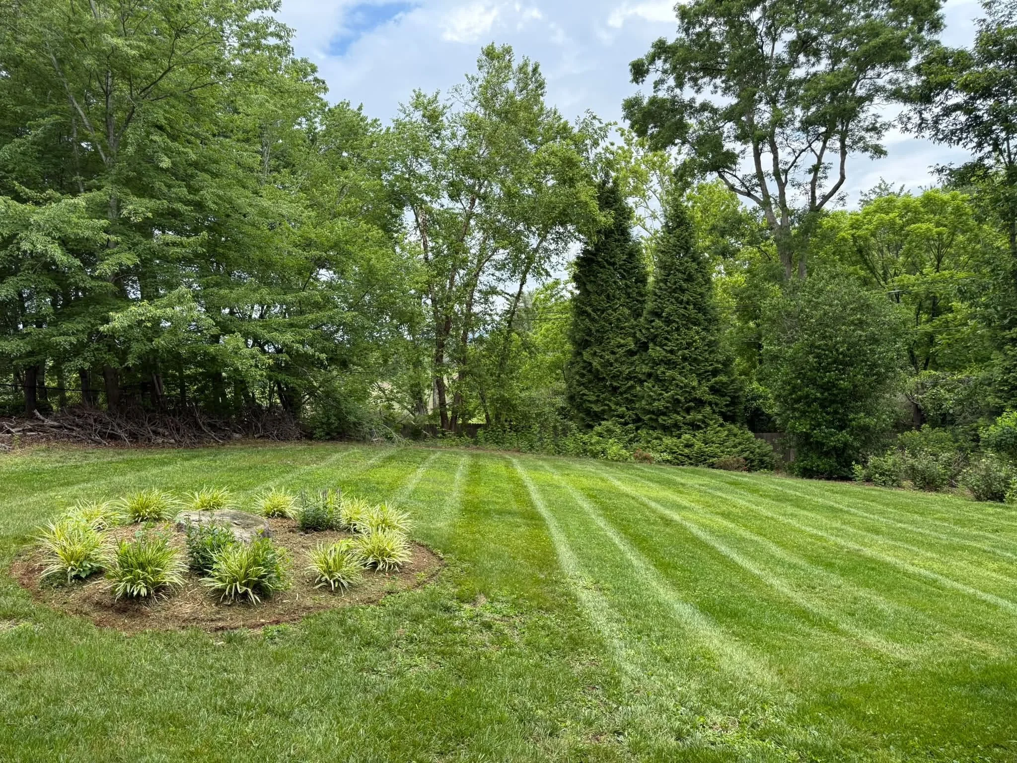 yard promo 3.jpg