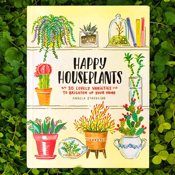 Happy Houseplants Website.jpg