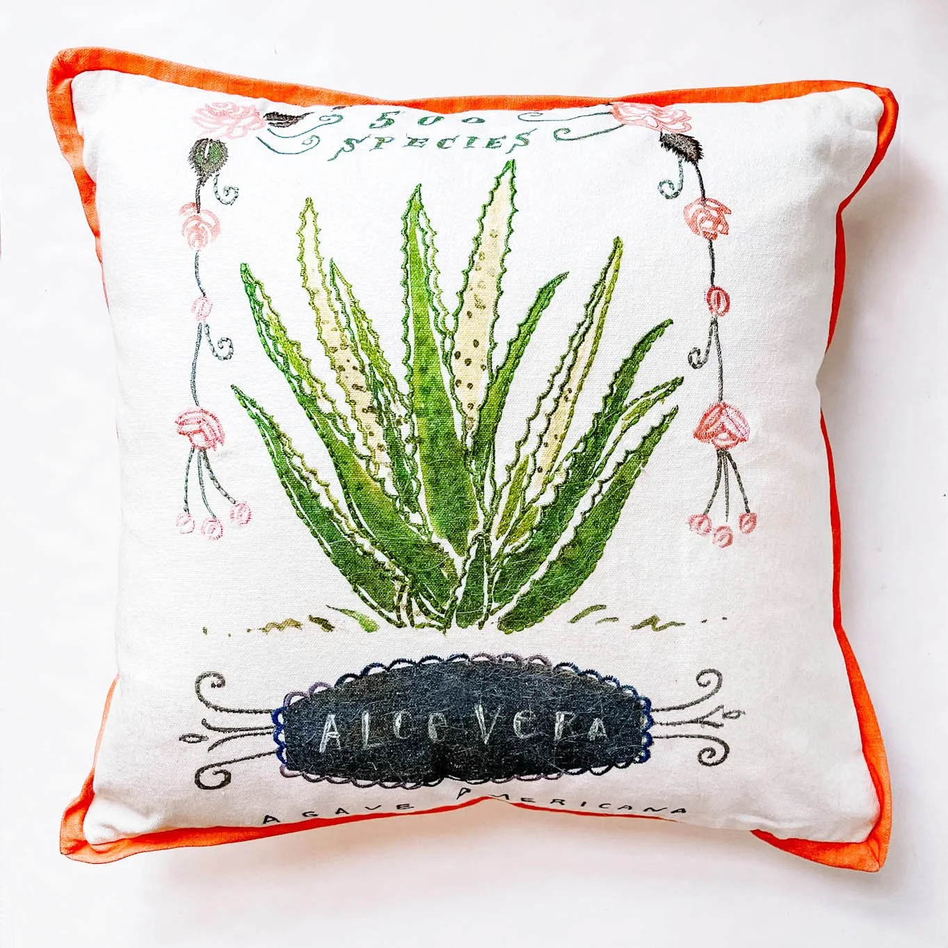 Aloe-vera-plant-pillow.jpg