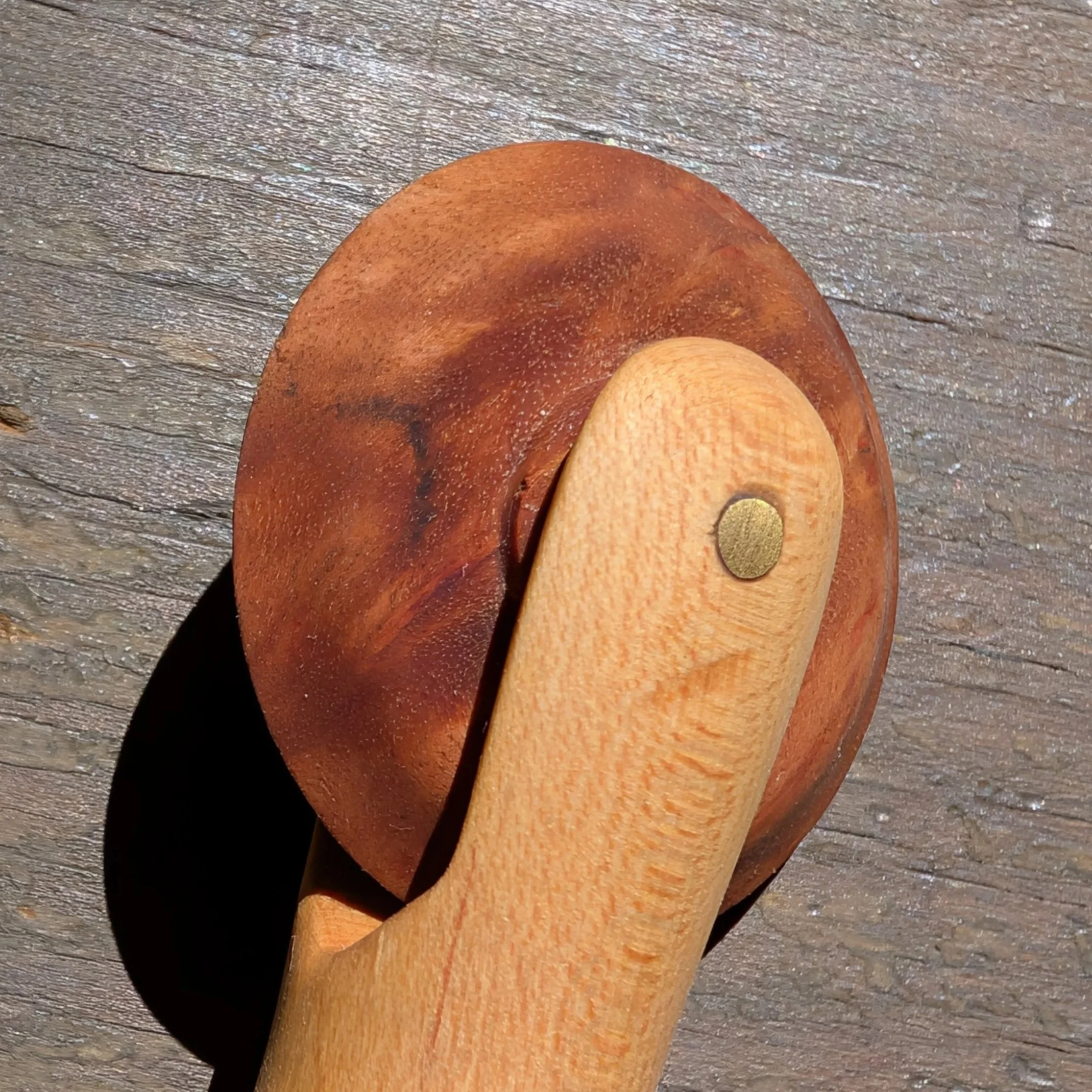 1000020601.jpg