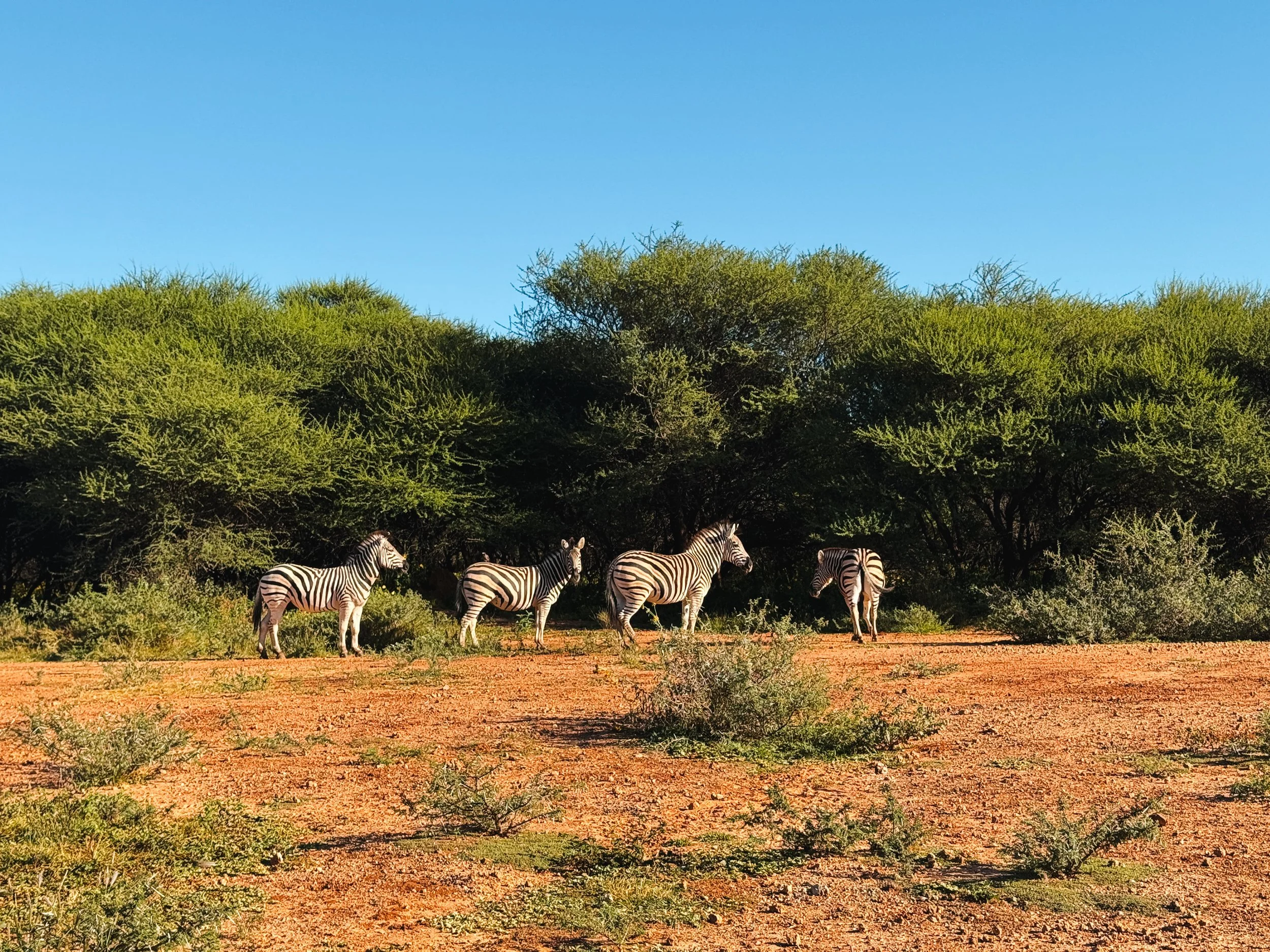 10 Things to Do in Gaborone