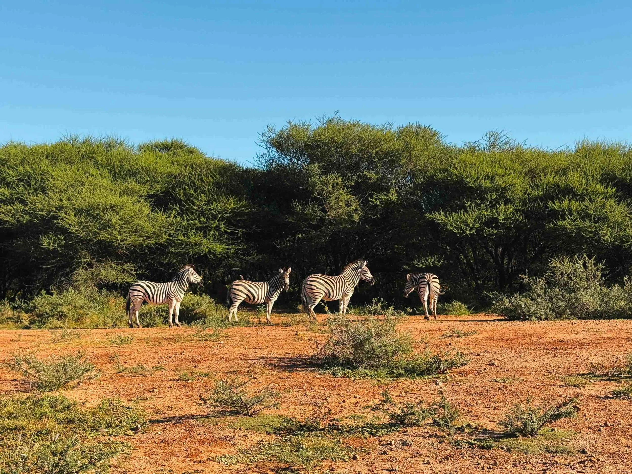 10 Things to Do in Gaborone