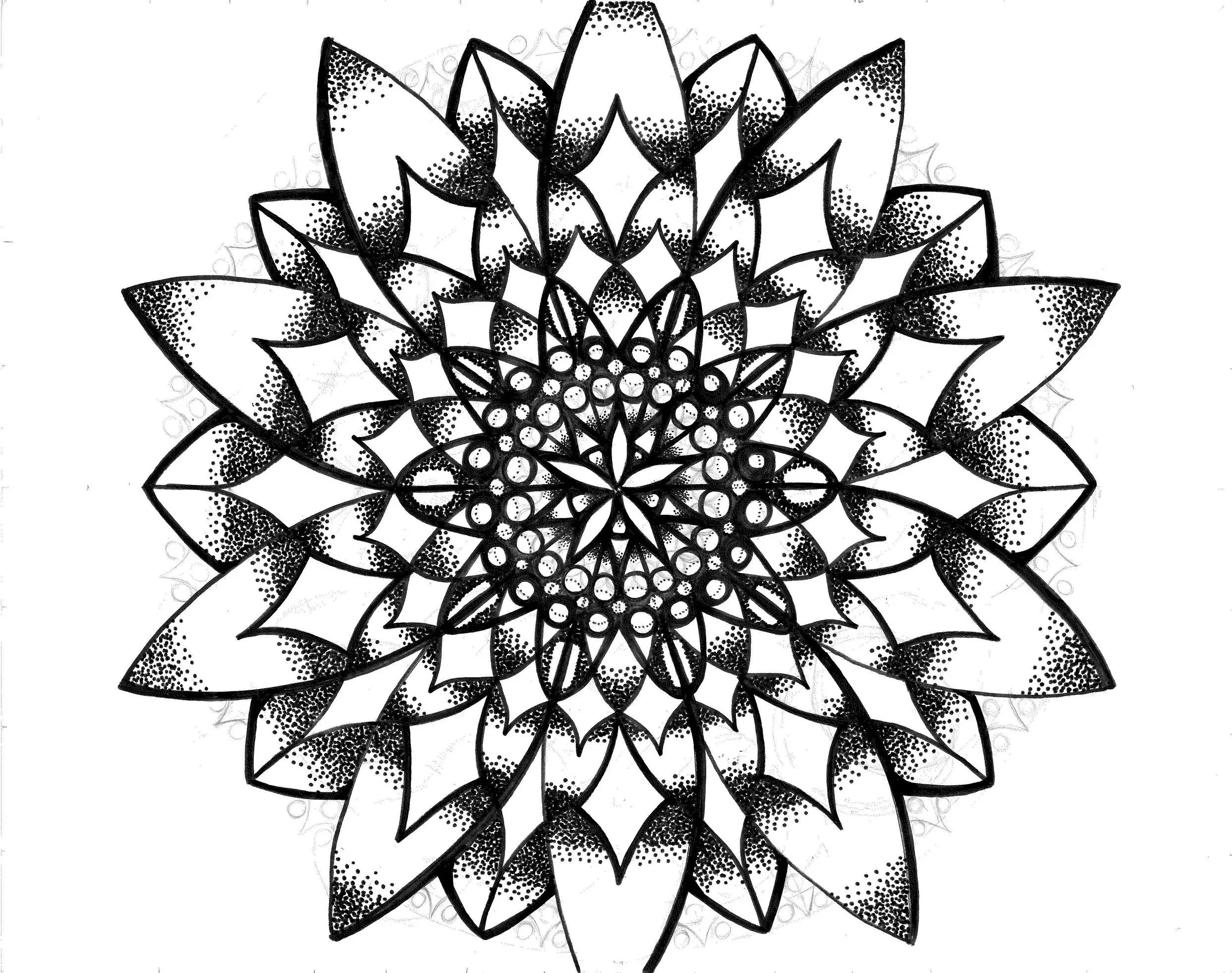 20260327144354970.jpg