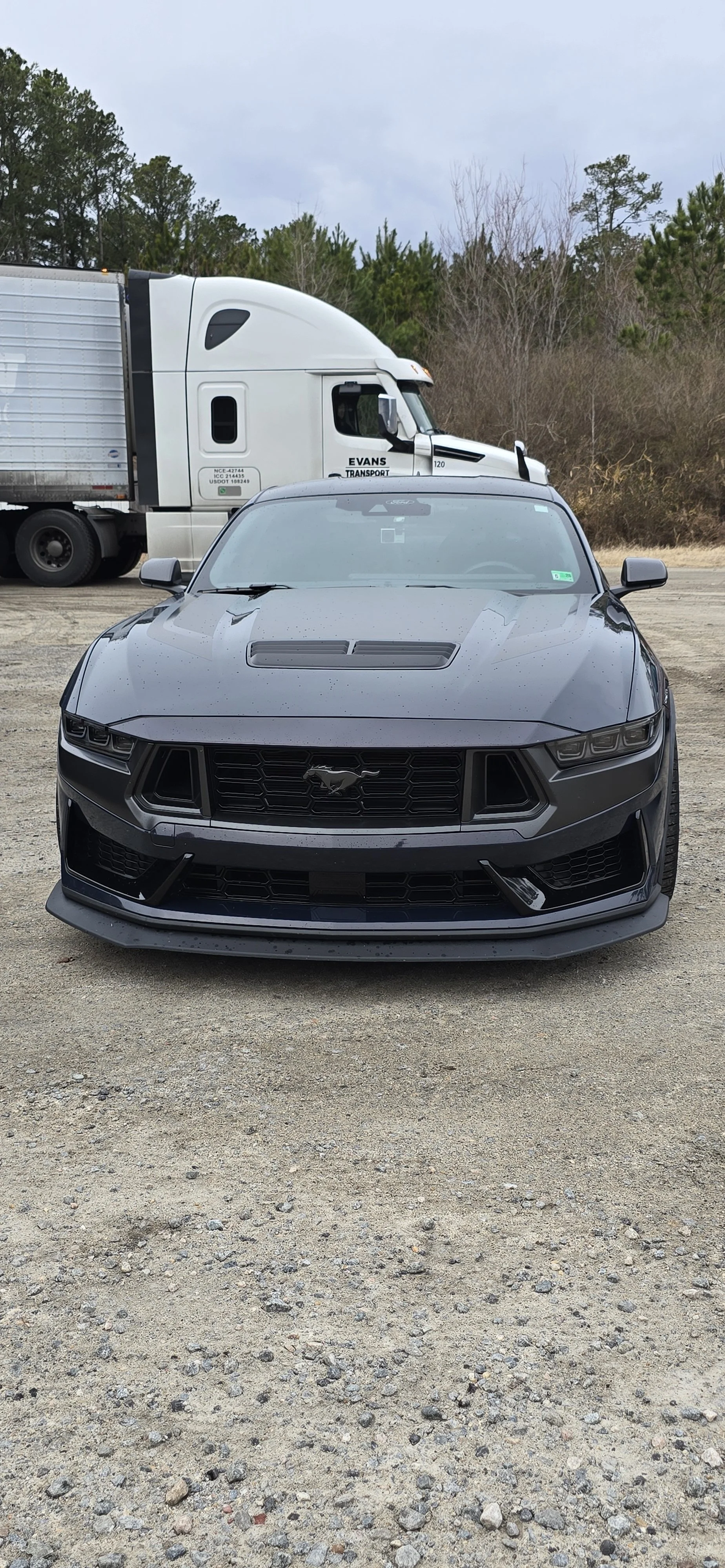 A Blue Ember Metallic Ford Mustang Dark Horse with a prominent Mustang logo on the grille, parked on a gravel surface, with a white semi-truck in the background and trees under a cloudy sky.