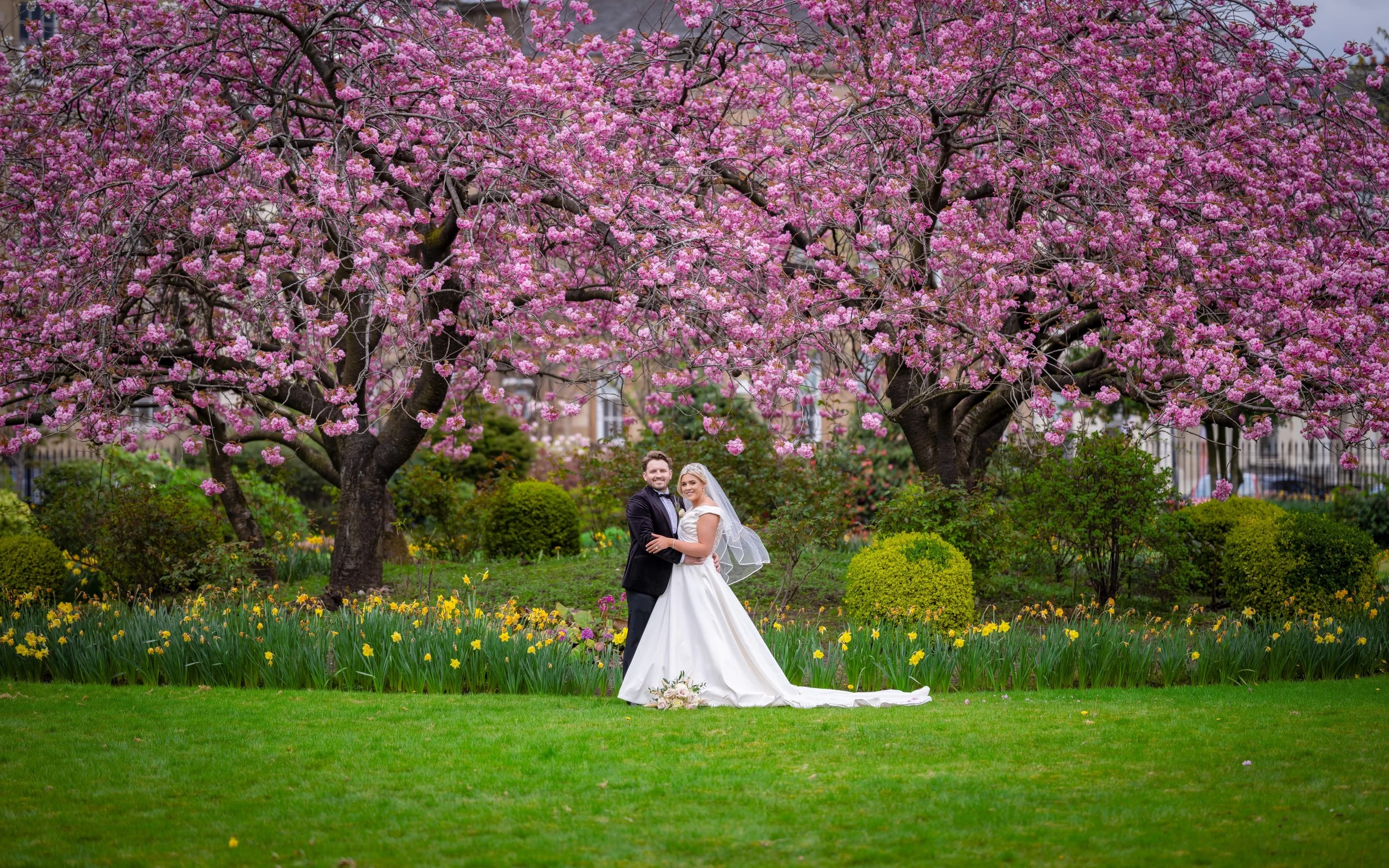 A bride and groom standing under pink flowering trees in a garden with yellow flowers and green bushes, on their wedding day.