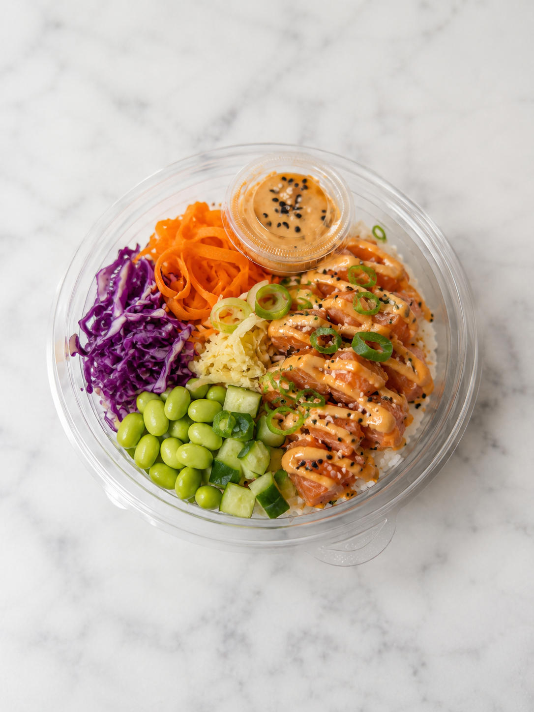 Le Bol ~ Salmon
