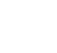 Kardam Consulting, LLC 