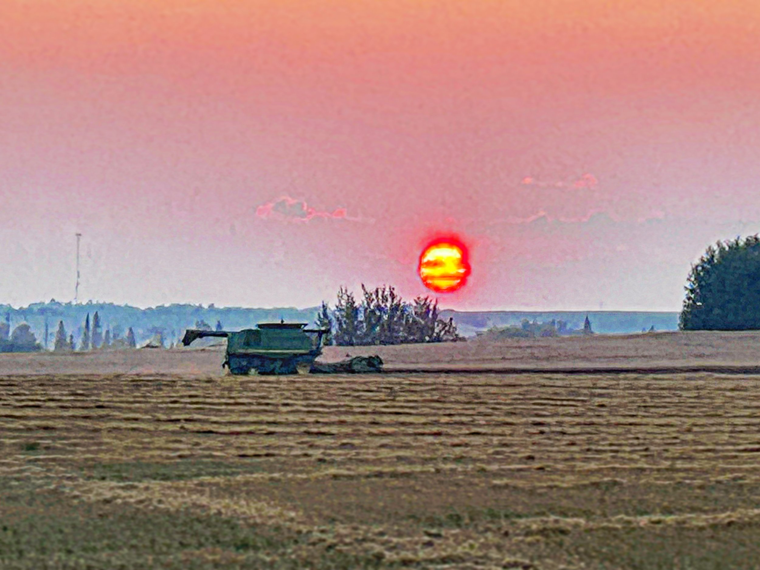 A farm field at sunset with a combine harvester in the foreground and the sun low in the sky.