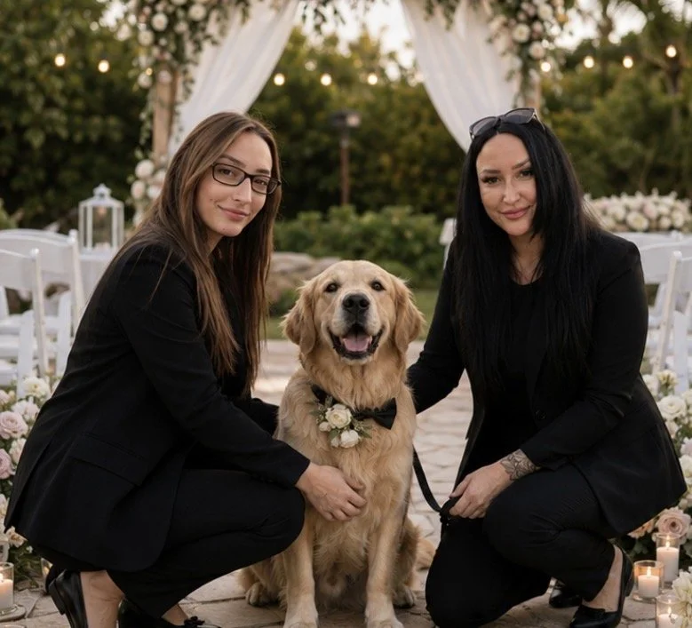 Professional Dog Attendant Services