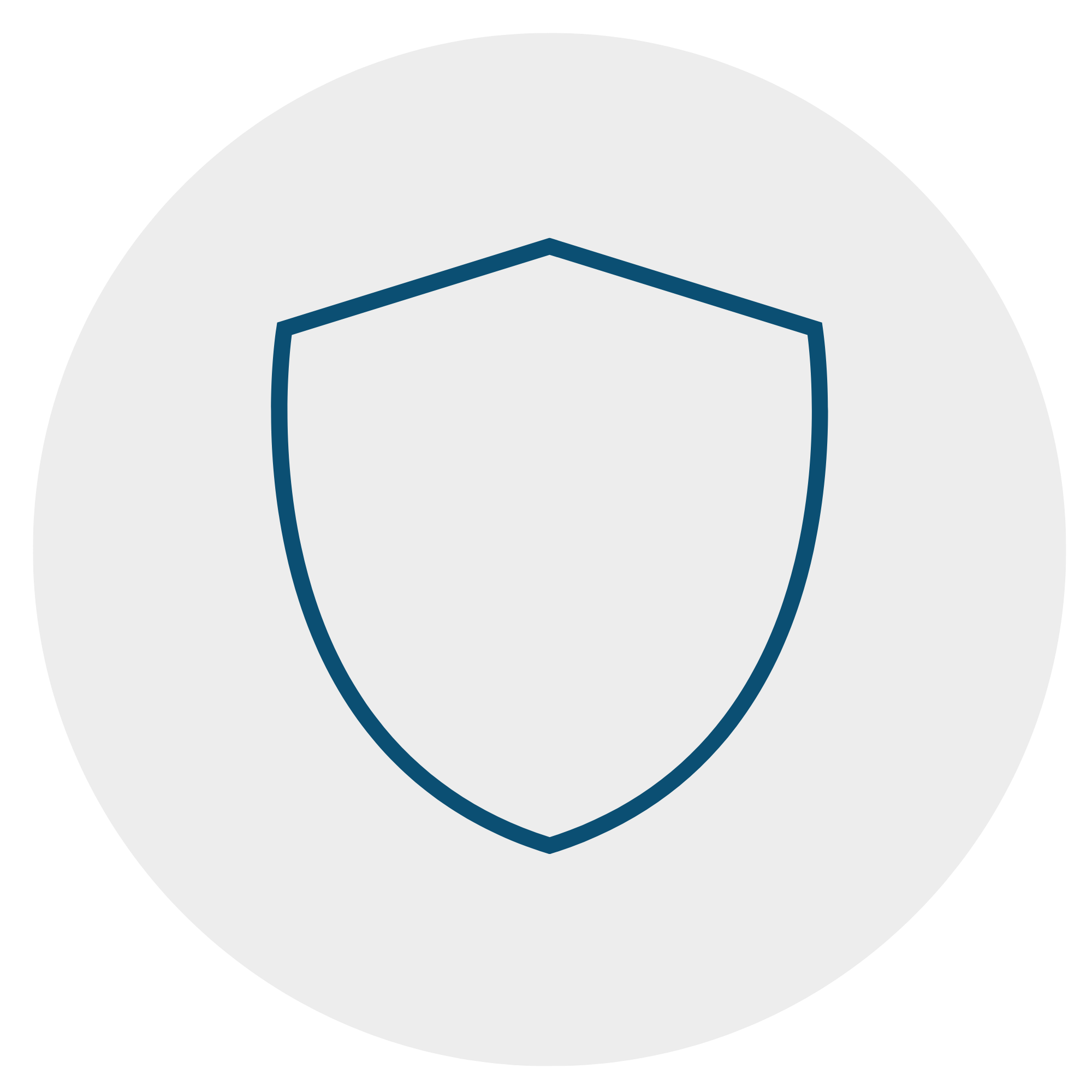 Shield icon inside a light gray circle.
