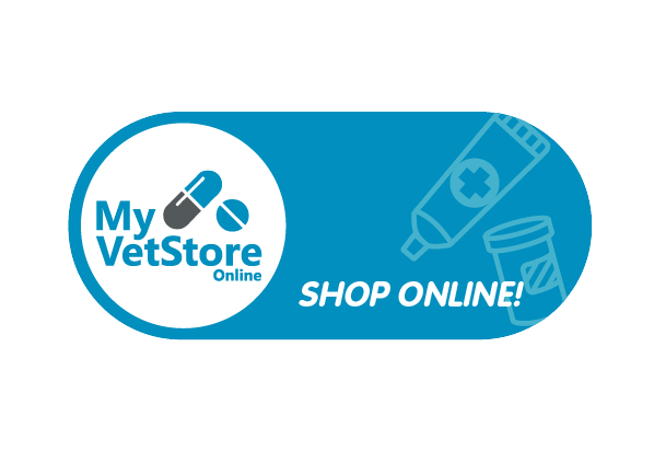 Logo for My VetStore Online with pills, syringe, capsule, and medicine bottle icons, and text to shop online.