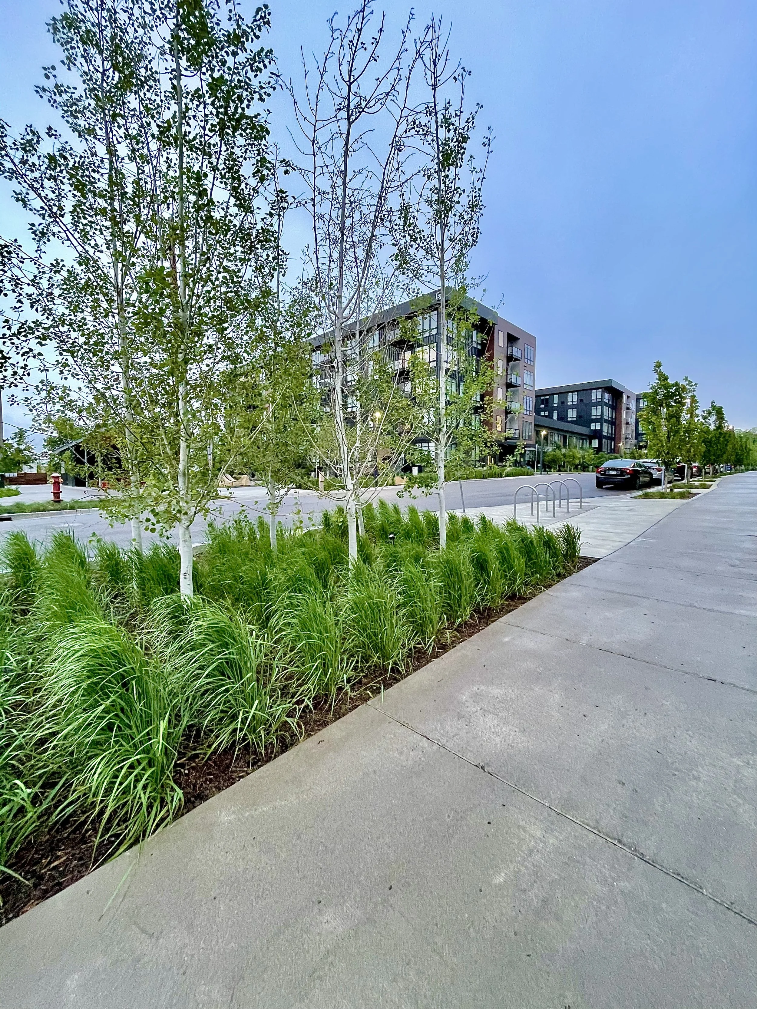 Plantings & Green on 4th Apartments