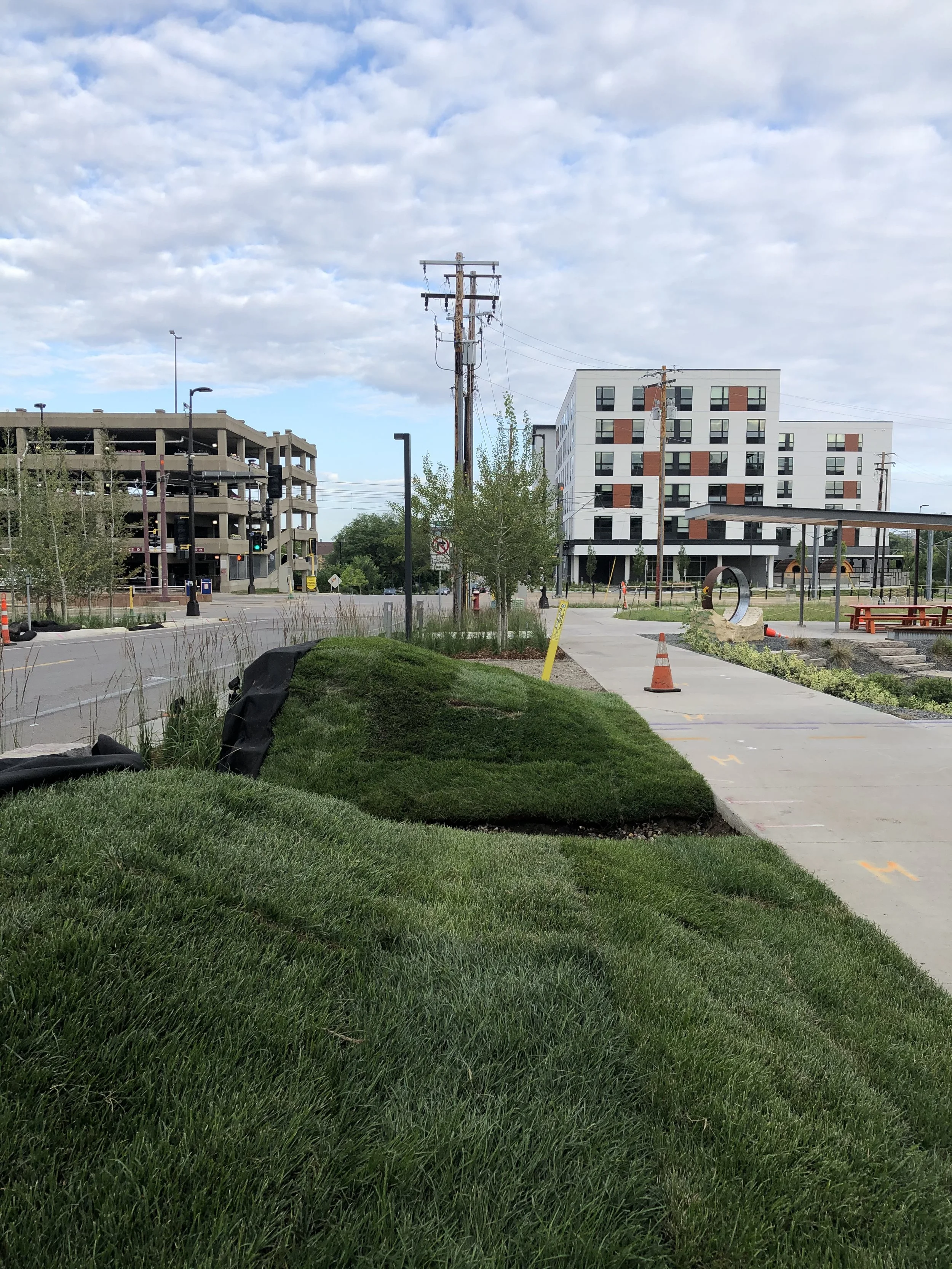 Landform berms and plantings adjacent to Stormwater System and Park