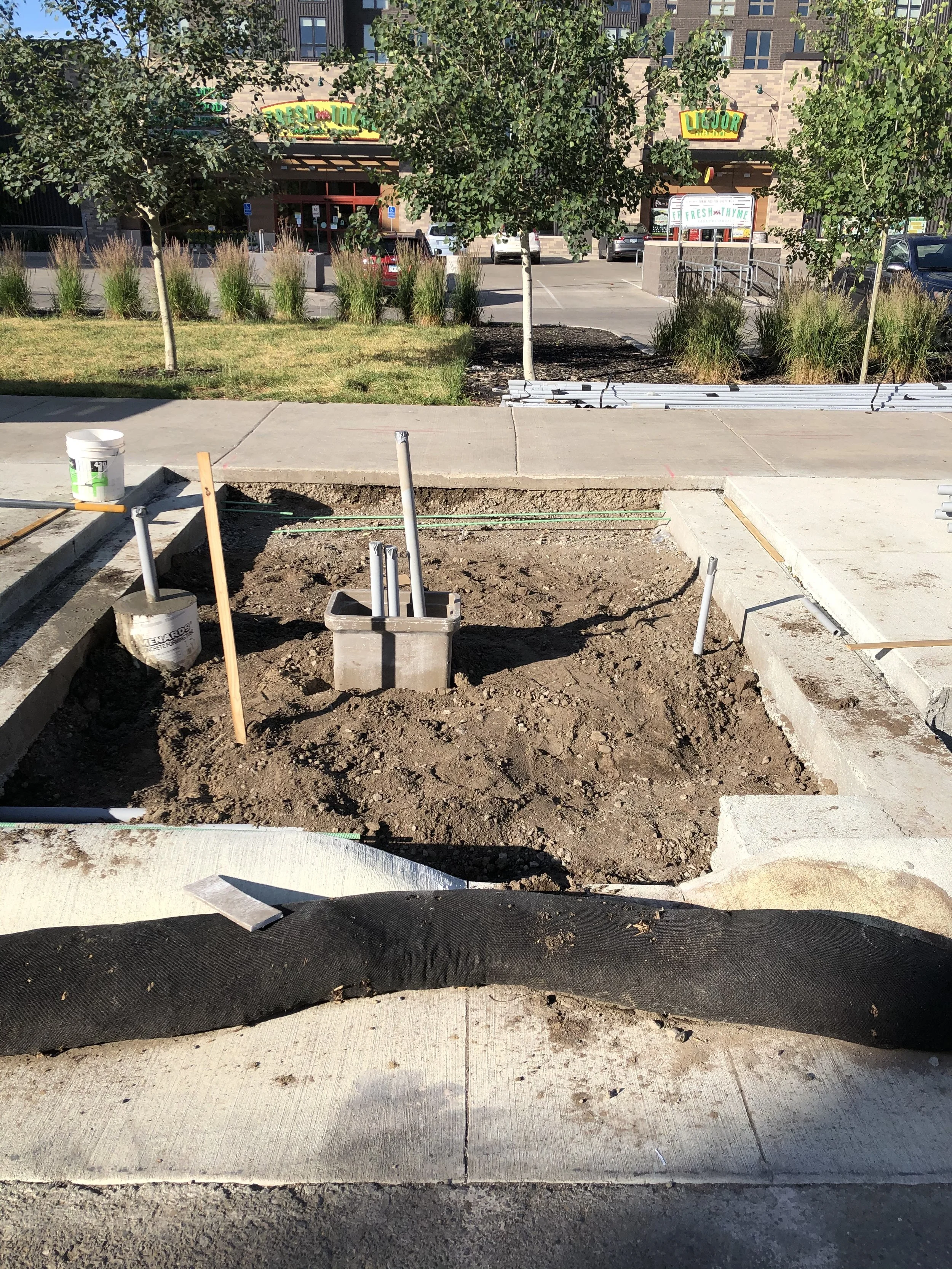 Tree trench construction with curb cut and electrical access for events