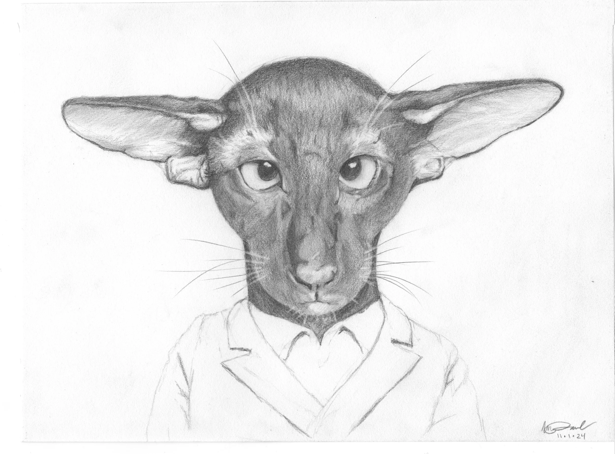 A pencil drawing of a cat with large ears dressed in a suit and tie.