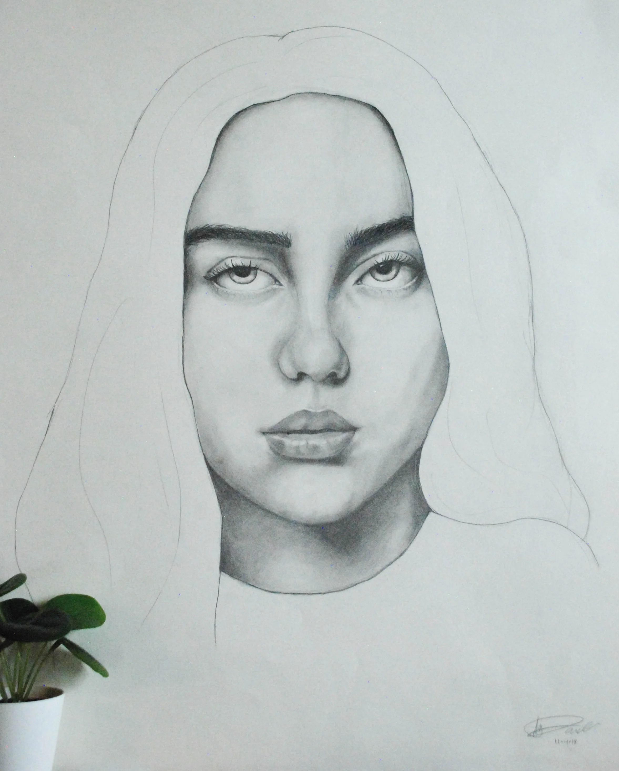 A pencil sketch of a woman with striking eyes, full lips, and long hair, with some details still unfinished. There is a small potted plant at the bottom left corner of the image.