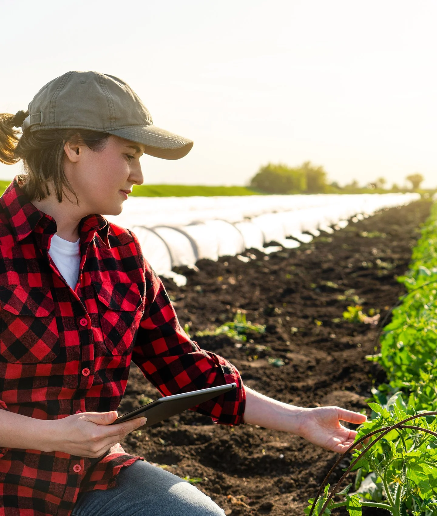 Terraco - Crop Management Products and Services