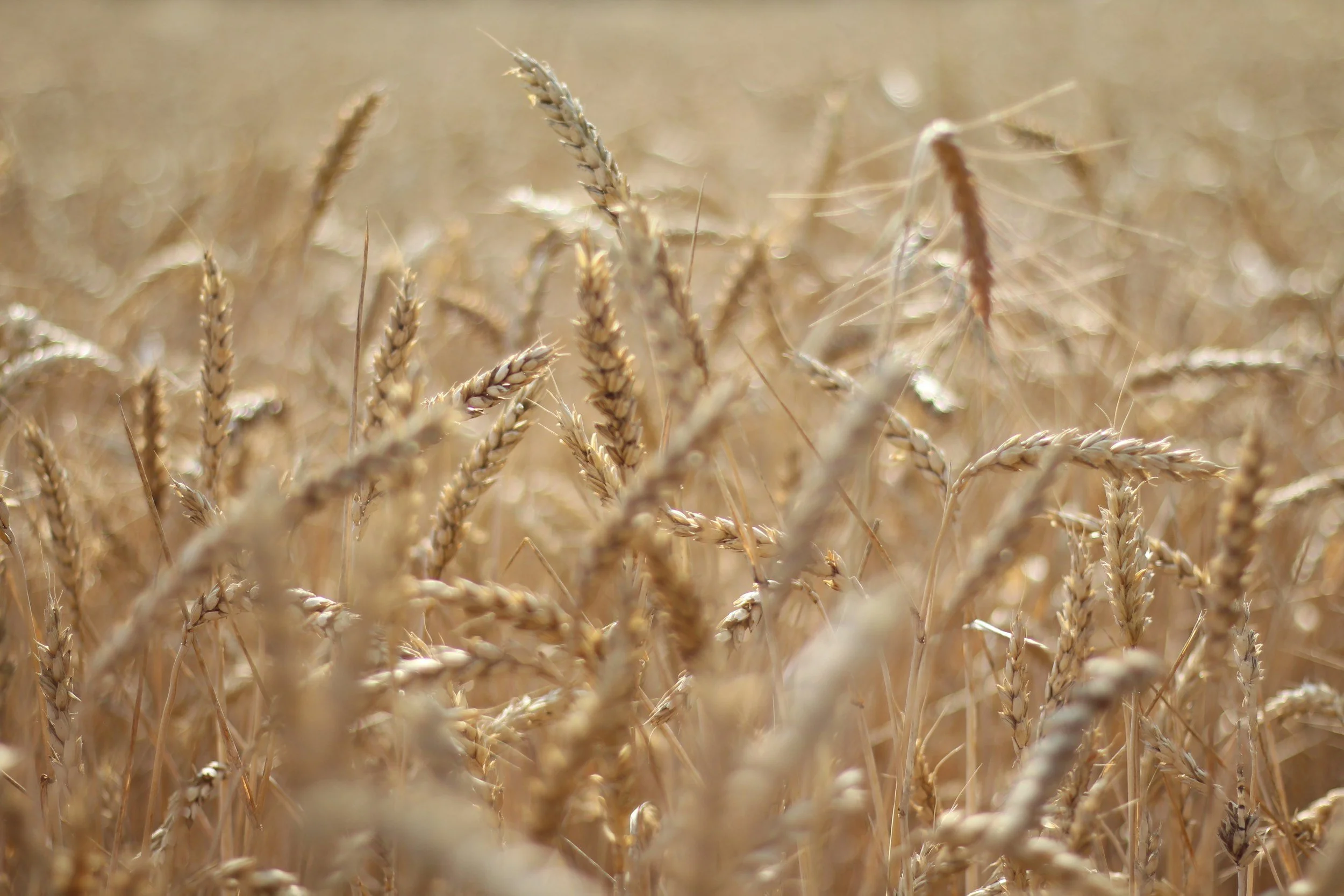 Terraco - Crop Management Products and Services