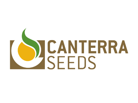 Canterra Seeds