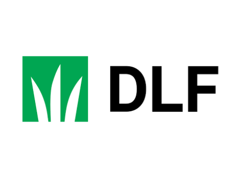 DLF