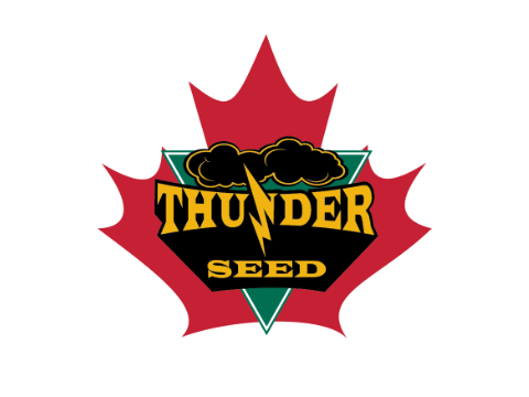 Thunder Seed