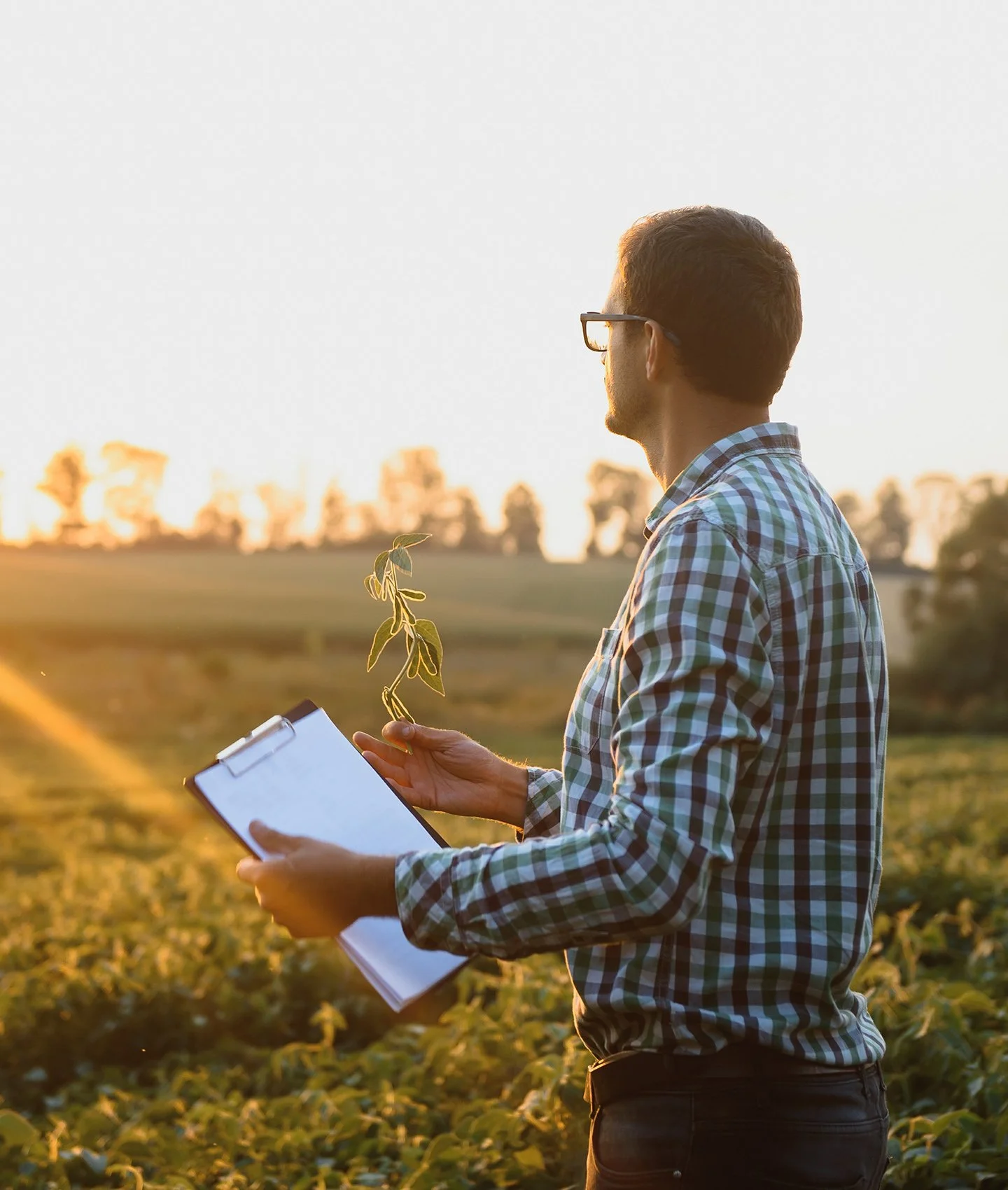 Terraco - Crop Management Products and Services