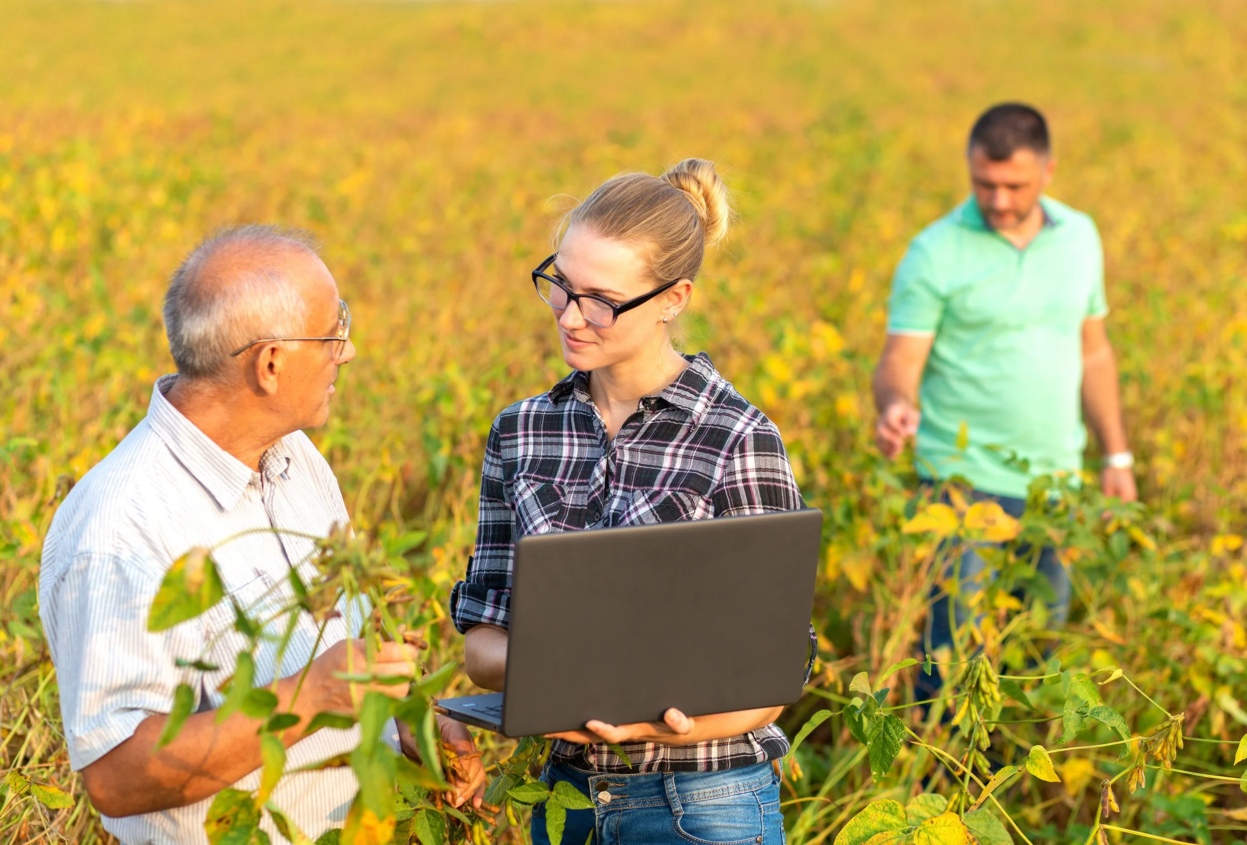 Terraco - Crop Management Products and Services