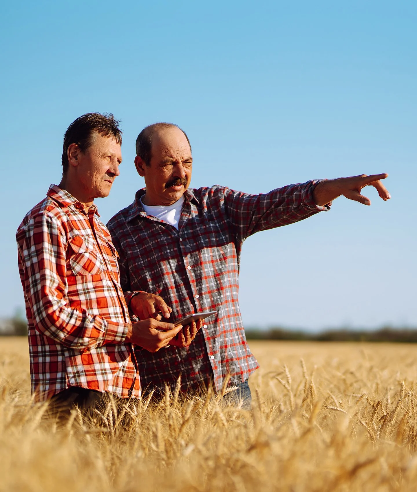 Terraco - Crop Management Products and Services