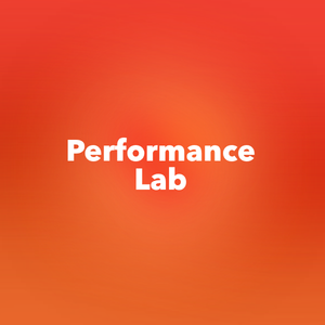 Performance Lab