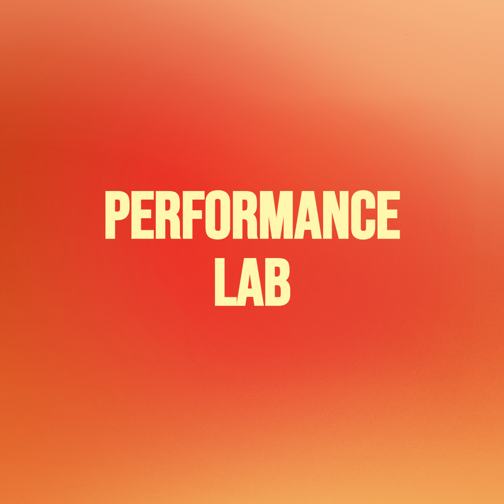 Performance Lab