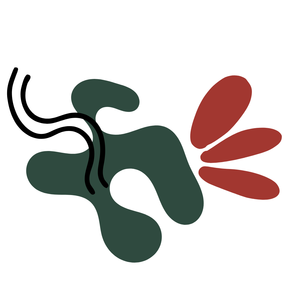 digital marketing ski industry