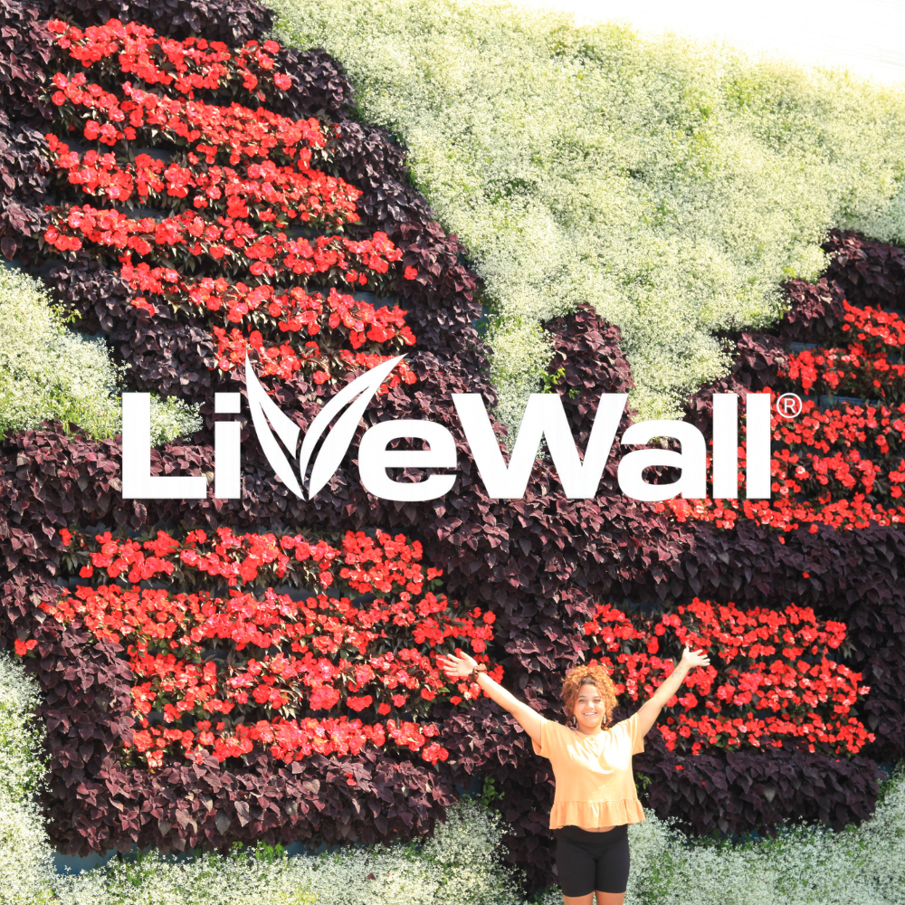 Revelle Marketing has a client names LiveWall, living walls. A smiling girl with curly hair and a yellow shirt standing in front of a large floral wall with red flowers and green foliage, with her arms raised in joy.