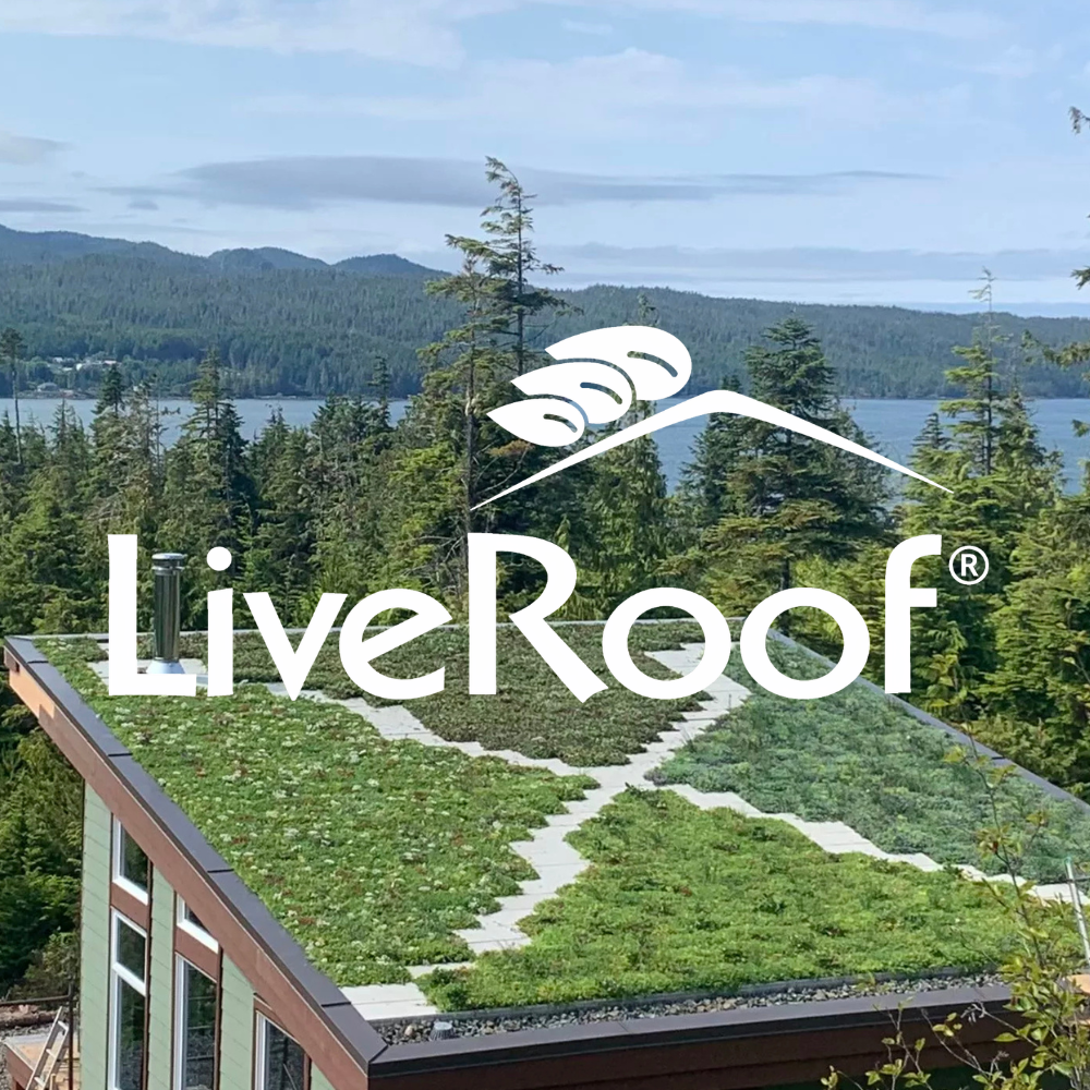 LiveRoof Website Consulting, Video