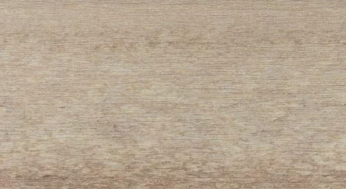 Birch