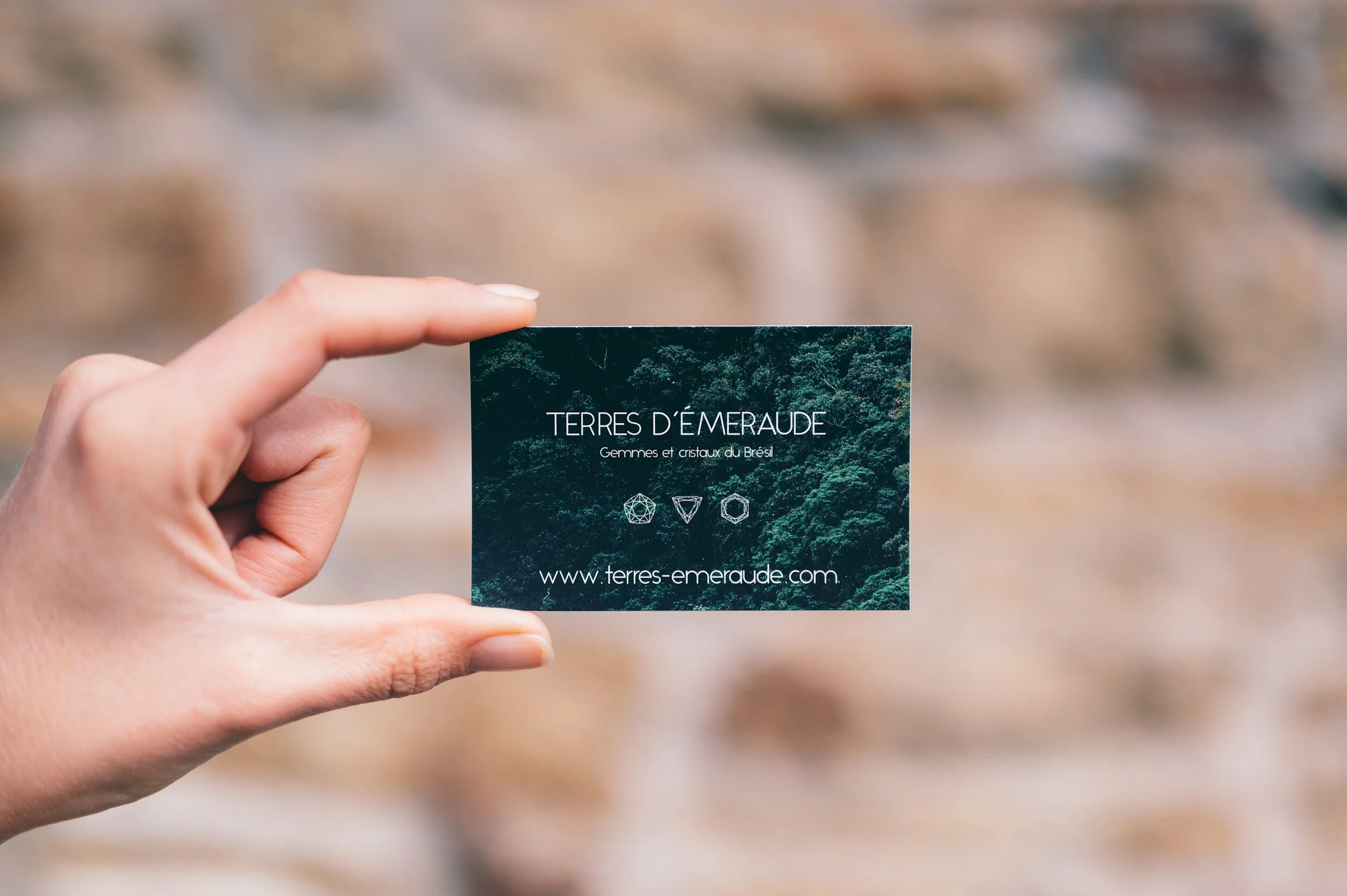 Business card for Terres d'Emeraude featuring a forest background, white text, and geometric gem icons, with the website www.terres-emeraude.com.