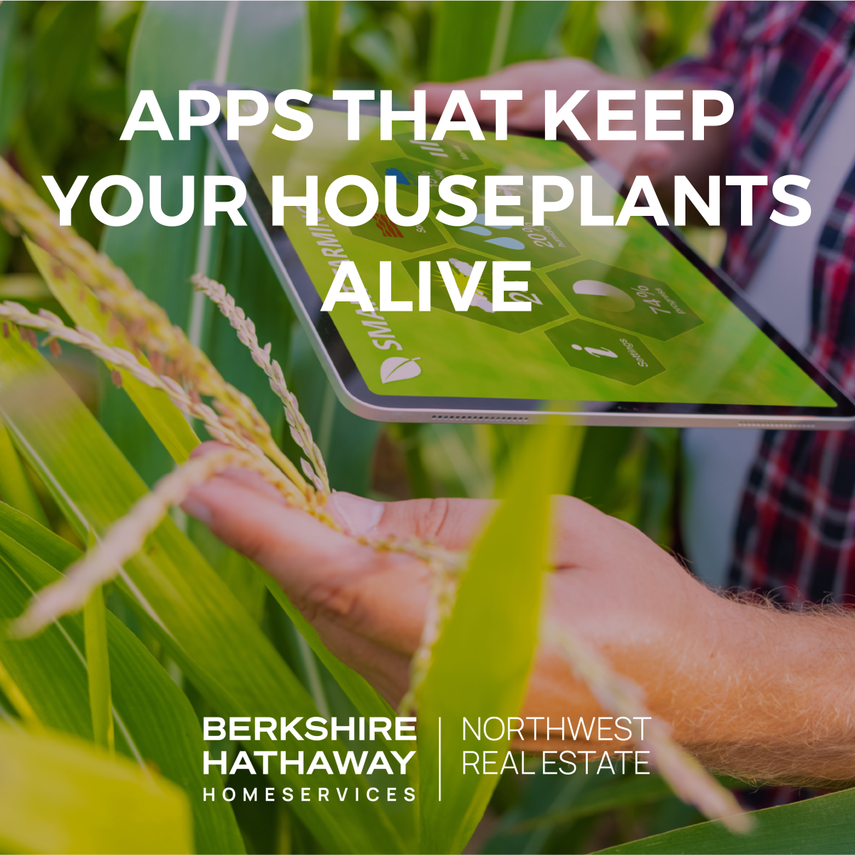 Much Needed Help for Your Not-So-Green Thumb