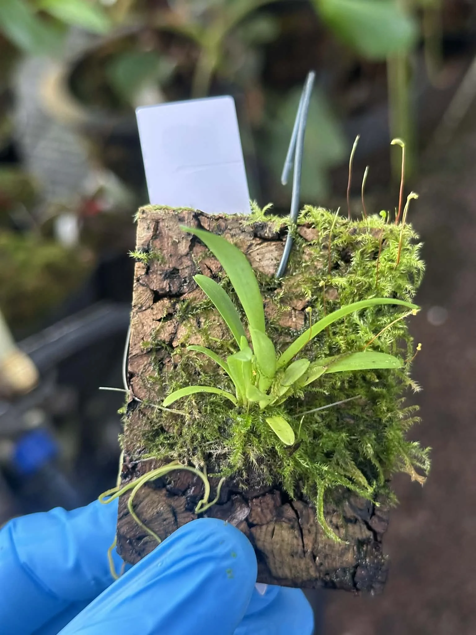 0b89e33c-919e-47ac-b825-c5206543e4e0.jfif