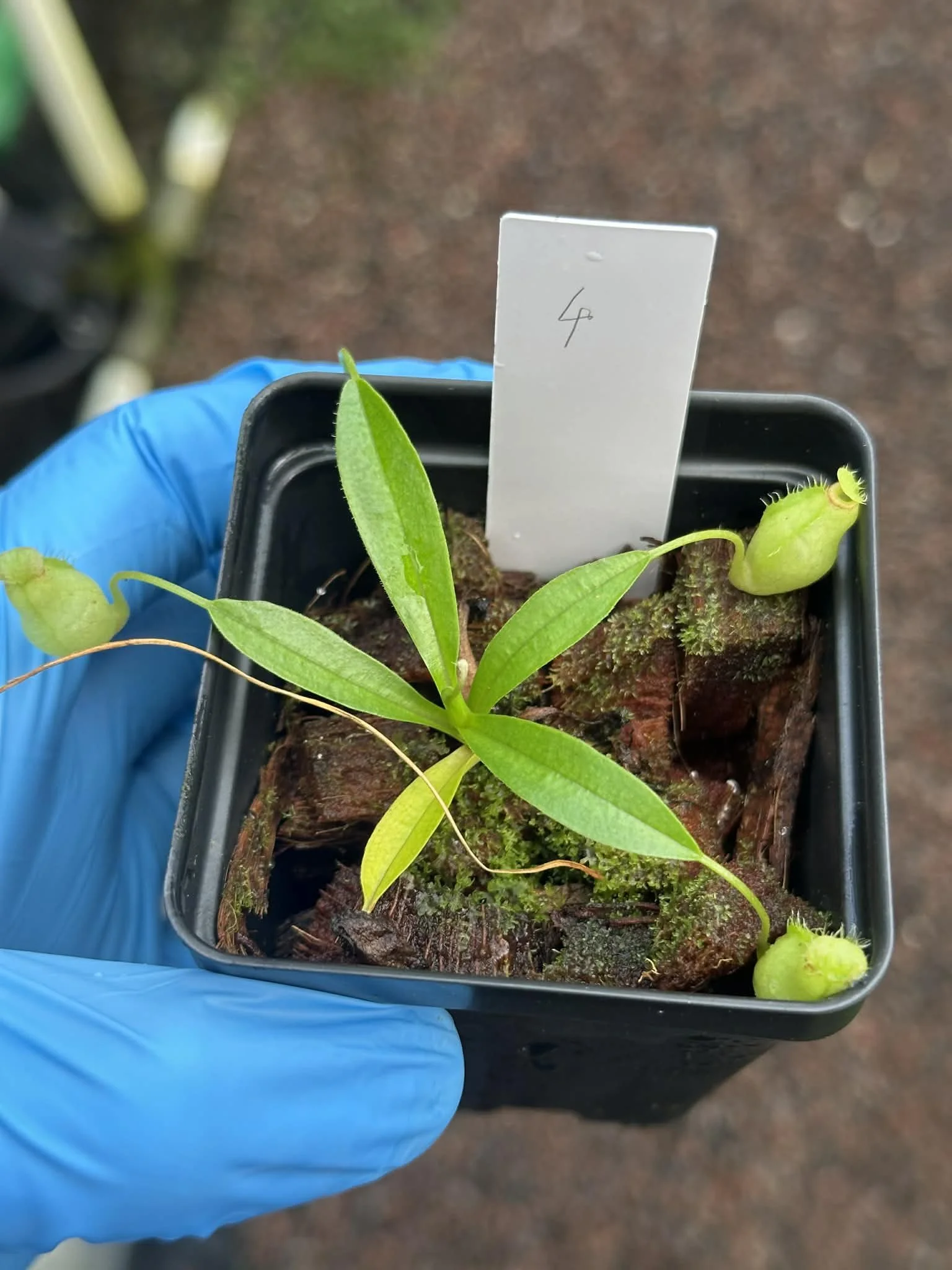 9b86856d-2d66-433d-a2b1-f5468c953940.jfif