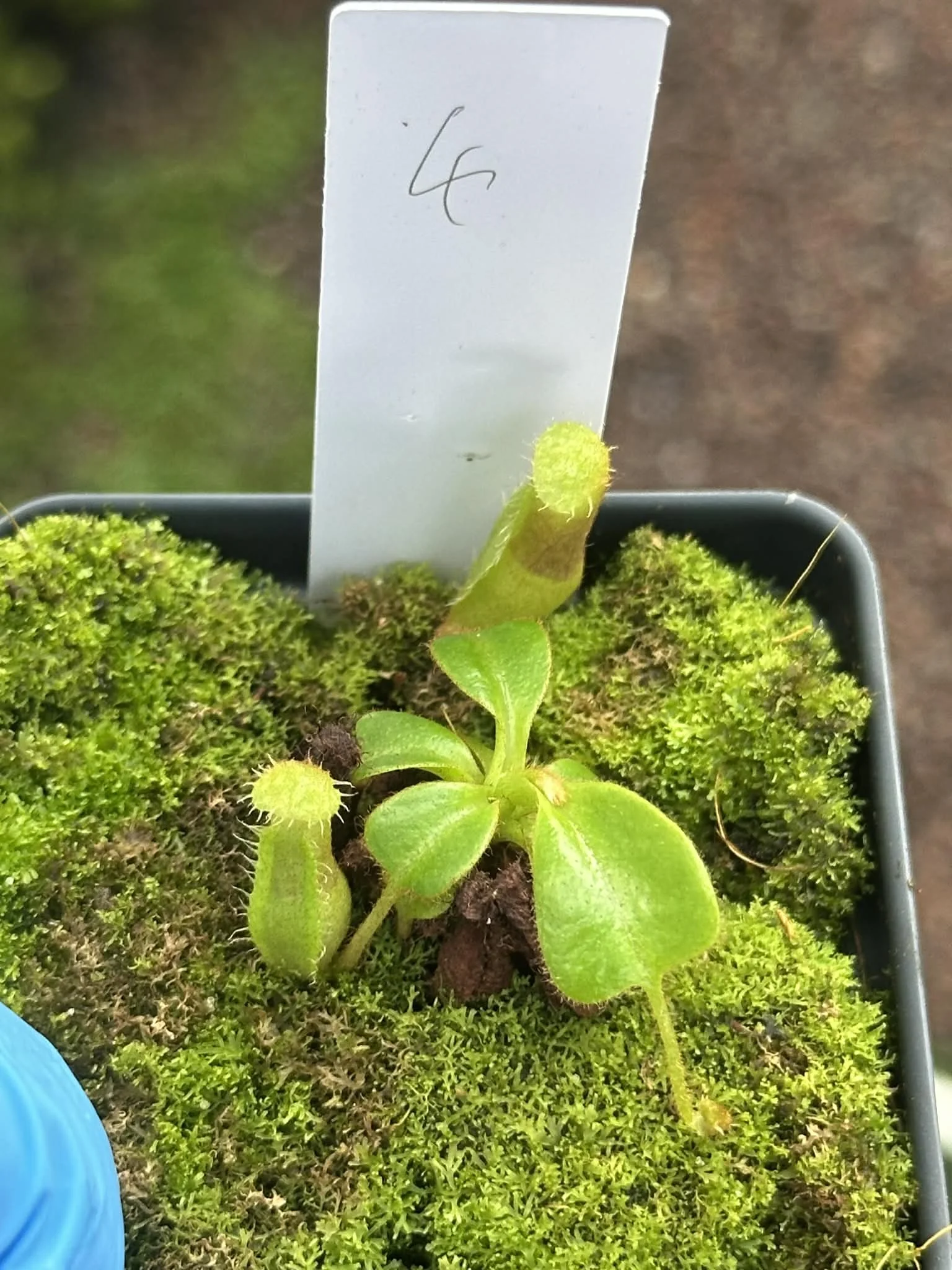 efb446e4-78d0-432b-a04f-4de34945af1c.jfif