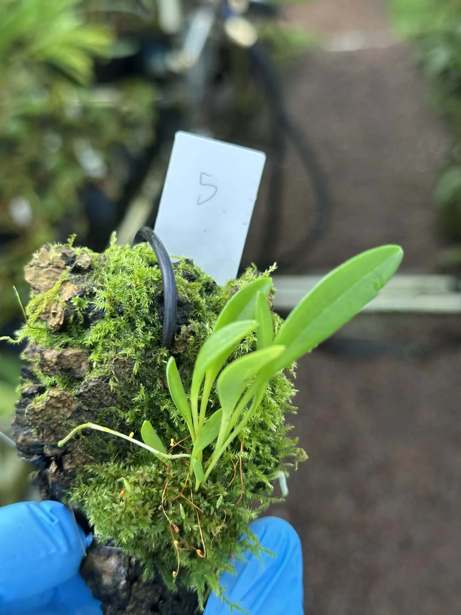 3290689a-1b11-4ef1-bf1e-8da33ebec2e5.jfif