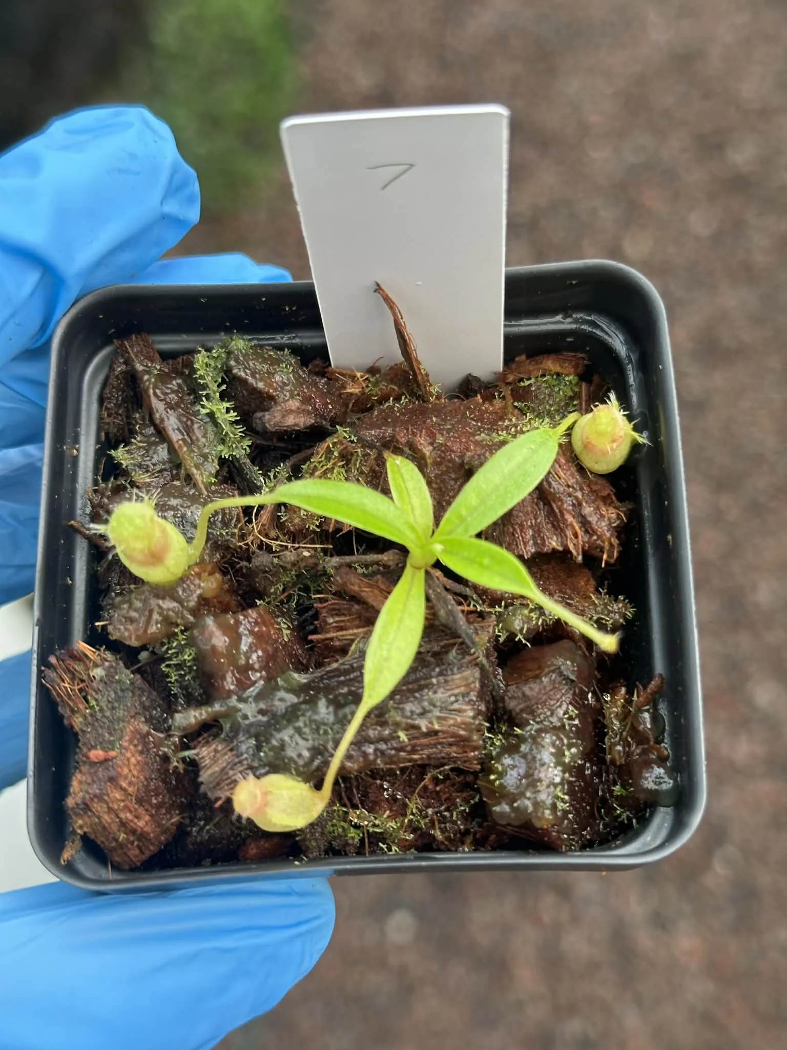 320f8974-c66a-4b11-85b0-40684b91eb29.jfif