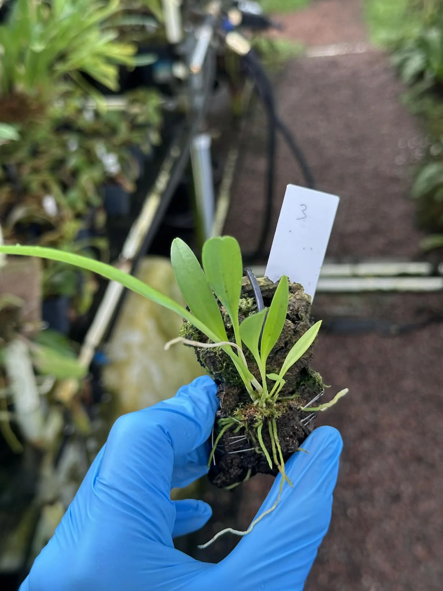 6263a994-c2be-4bc4-ae8f-c8a474933318.jfif