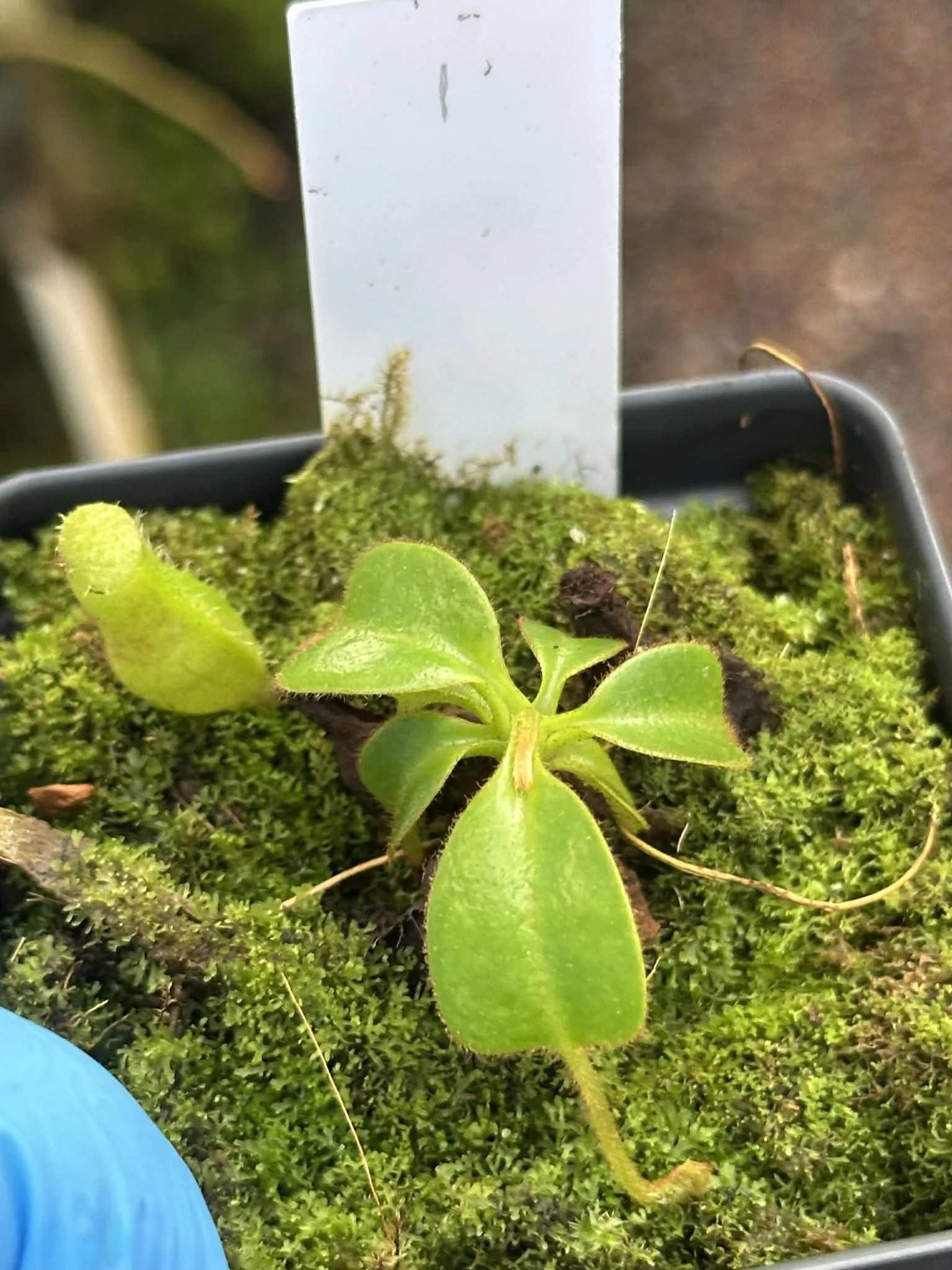 76d1e89a-e575-4731-b4bc-8d305ac951ab.jfif